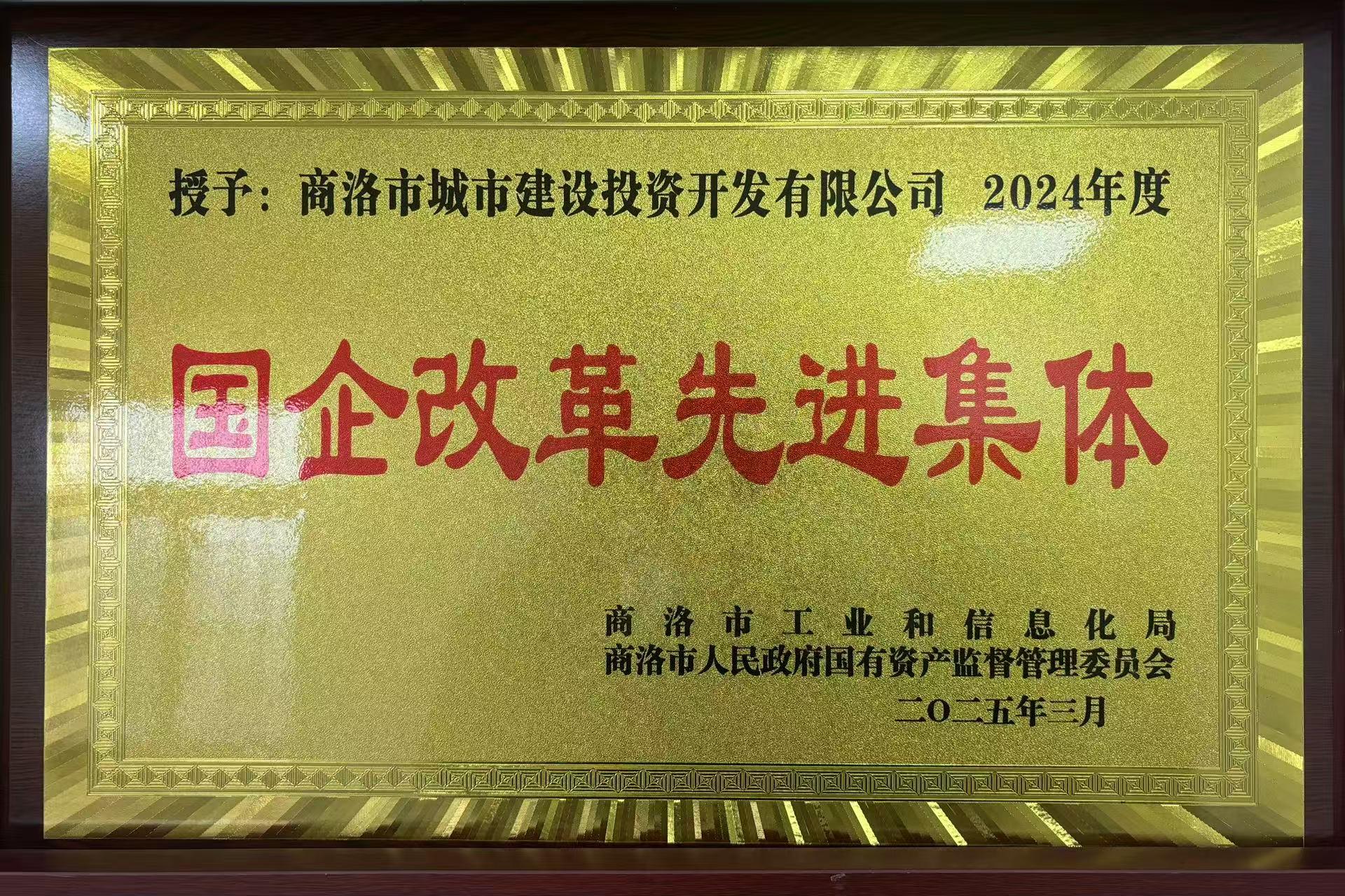 2024年度國企改革先進(jìn)集體